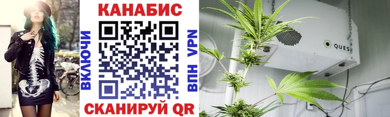 Бошки Шишки Ganja  Кедровый 